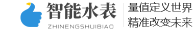 柔远科技独立站B042-营销型智能水表类网站